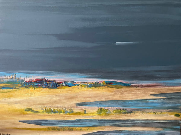 L'île aux oiseaux
