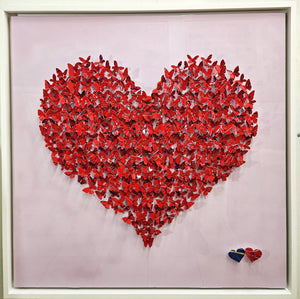 Coeur Papillons