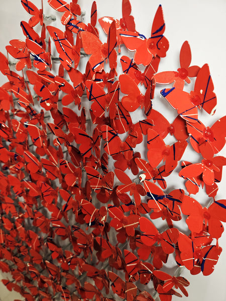 Coeur Papillons